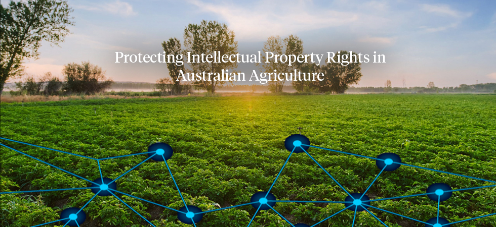 Purchasing Rights Australia Protecting Intellectual Property Rights in Australian Agriculture